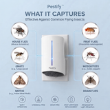 Flying Insect Trap