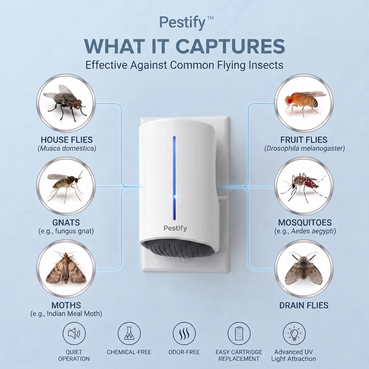 Flying Insect Trap
